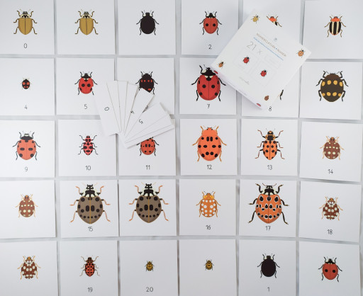 Nomenclatura e Numeri: Coccinelle