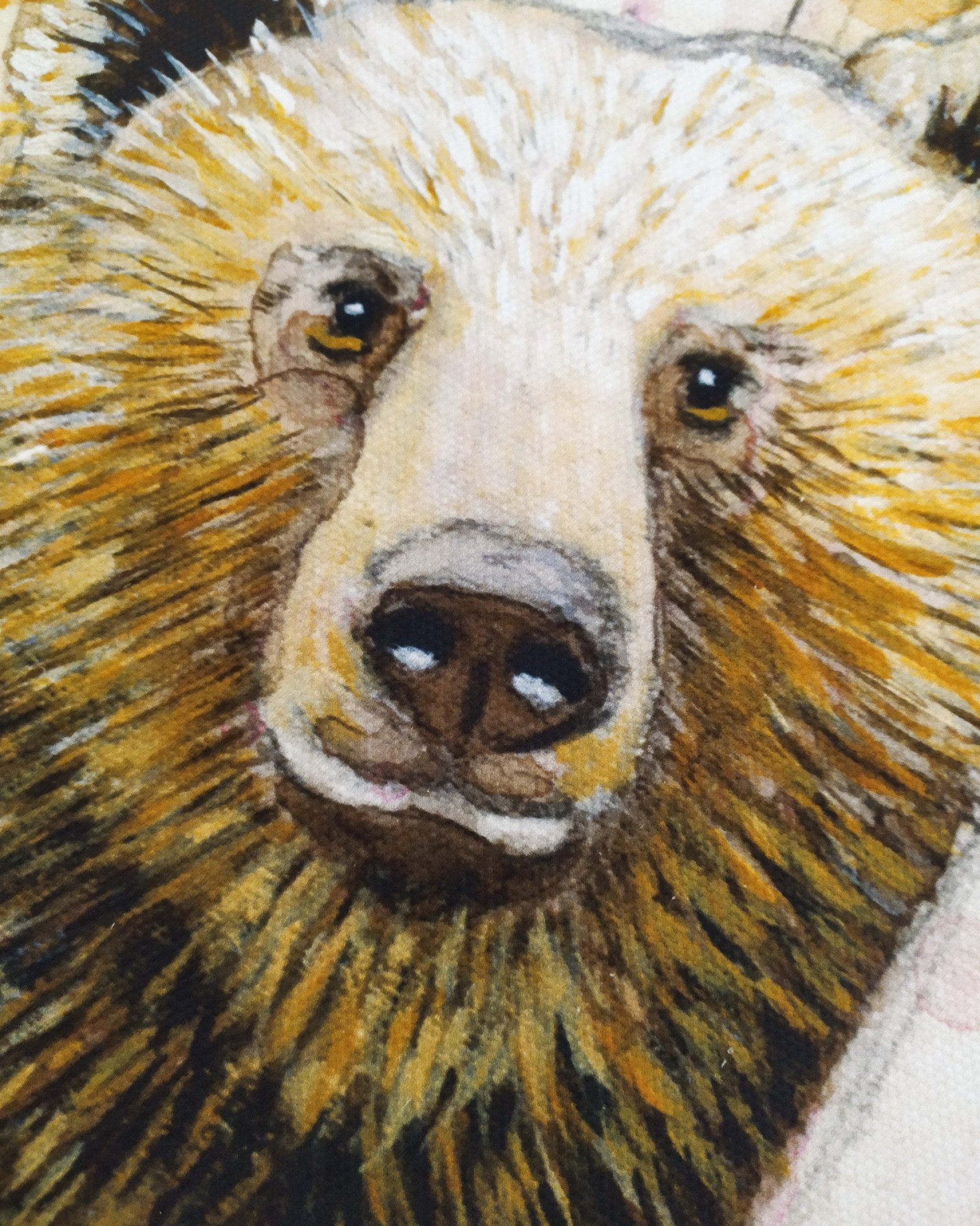 Drappo illustrato: l'orso