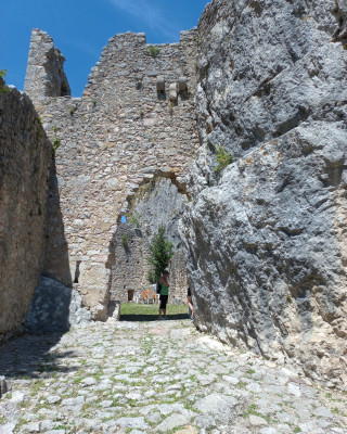 Copertina evento  Disegno botanico en plein air a Castel Corno (Isera TN)