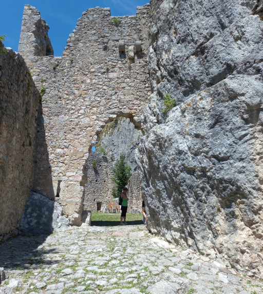 Disegno botanico en plein air a Castel Corno (Isera TN)