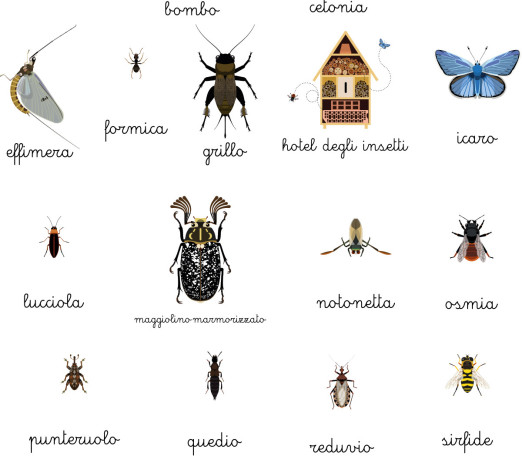 Poster di stoffa medio: insetti