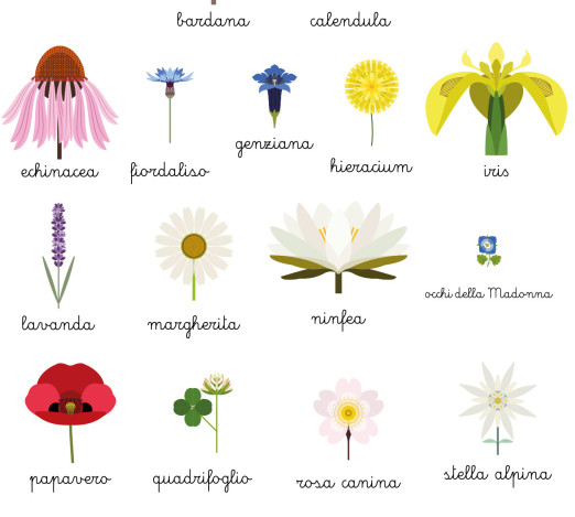 Poster di stoffa medio: fiori