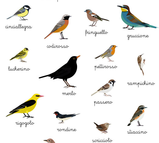 Poster di stoffa medio: piccoli uccelli