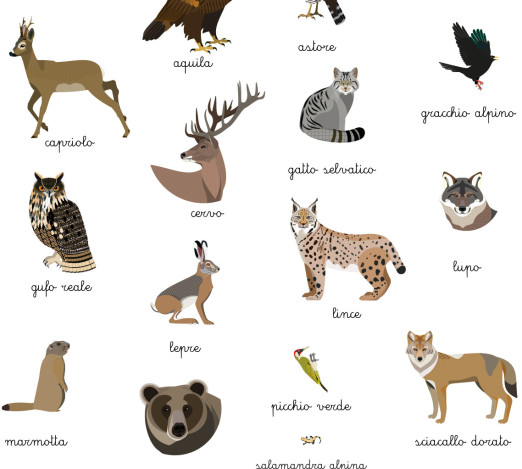 Poster di stoffa medio: animali di montagna