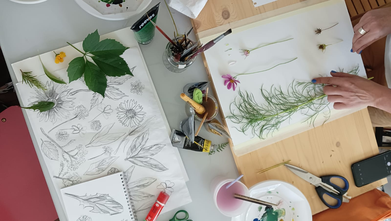 Corso di Illustrazione Botanica base