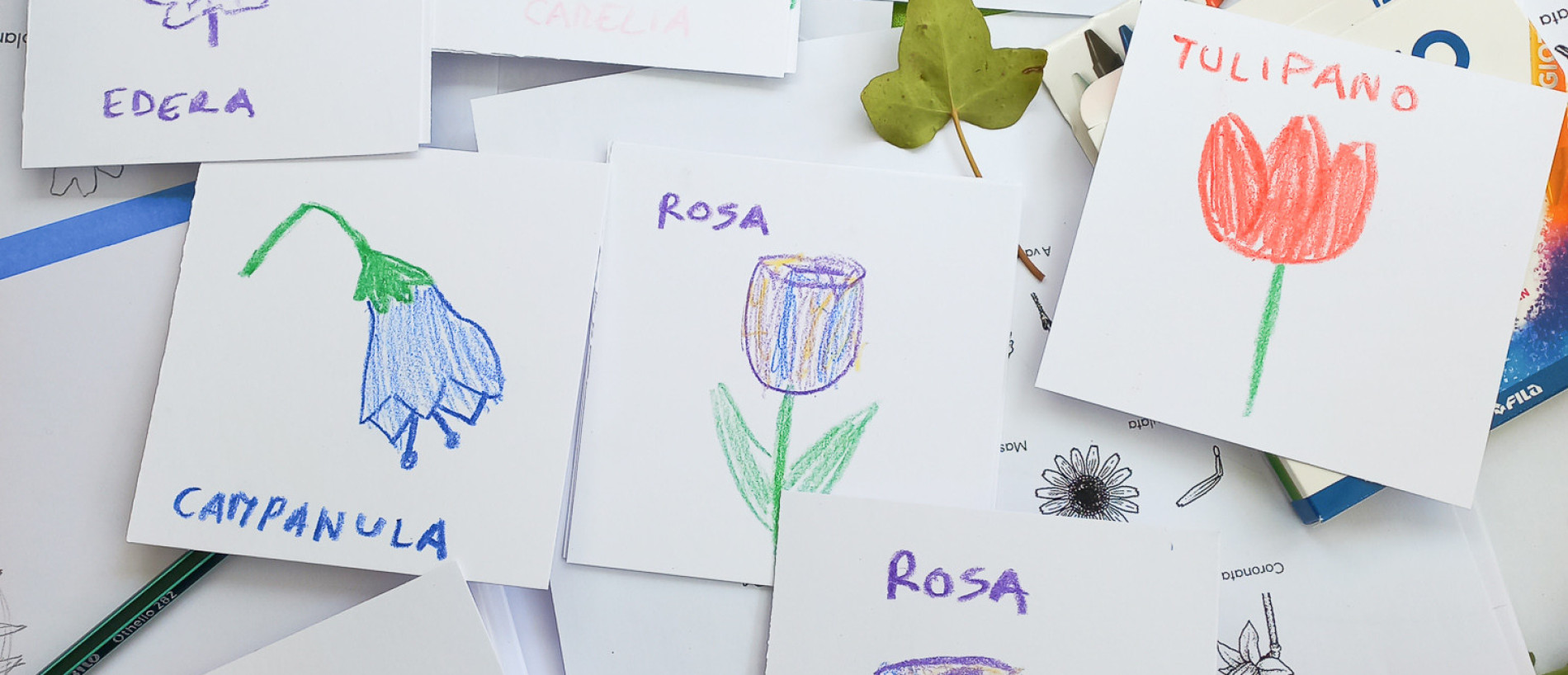 Corso di Illustrazione Botanica bambini