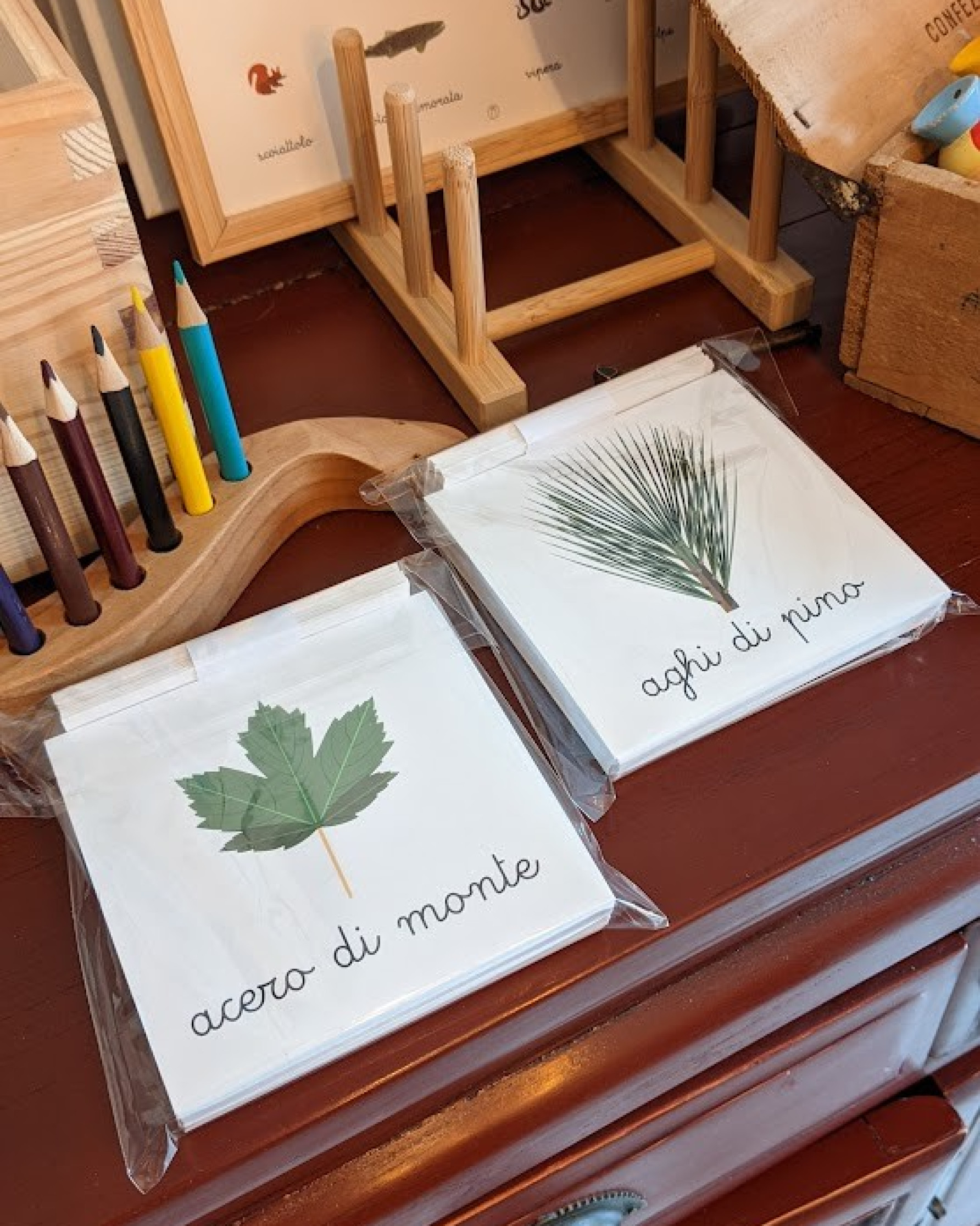 Nomenclature versione outlet