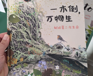 Copertina evento  "Caduto: La seconda vita degli alberi" è stato pubblicato in Cina