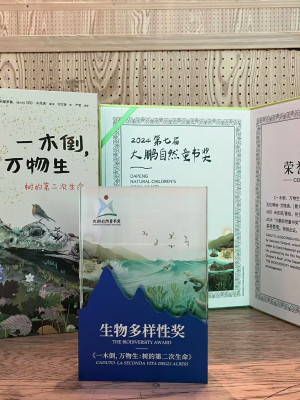 Copertina evento  "Caduto" vince il Dapeng Children's Nature Book Award 2024.