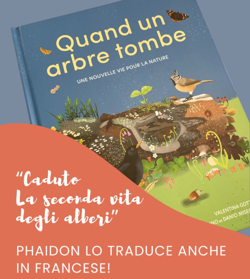 "Caduto. La seconda vita degli alberi". Phaidon lo traduce anche in francese!