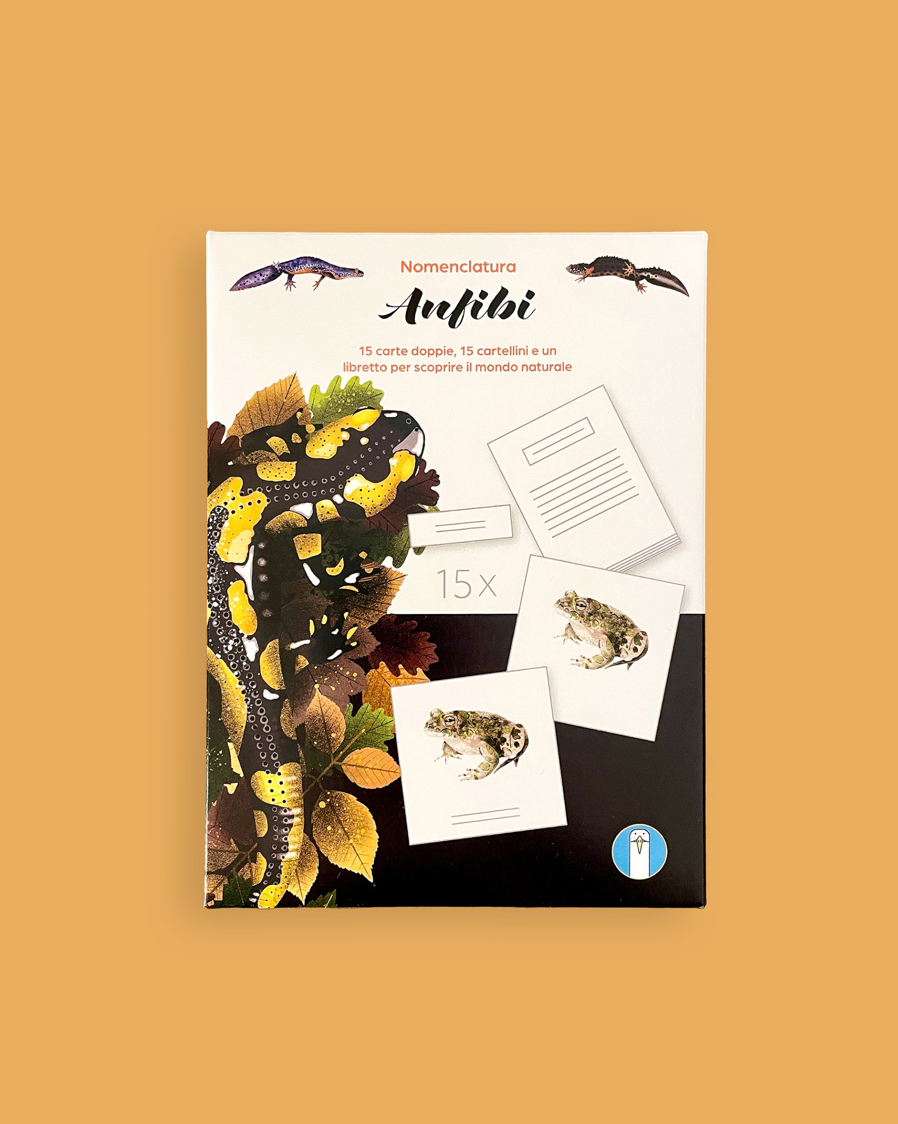 Nomenclatura: Anfibi