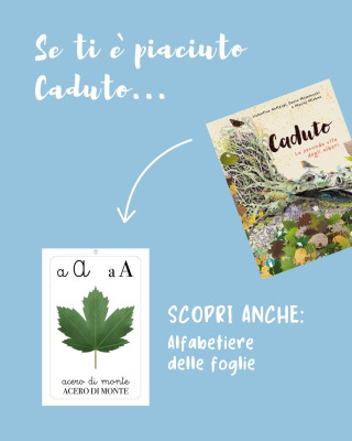Copertina evento  Se ti è piaciuto l'albo "Caduto. La seconda vita degli alberi"...