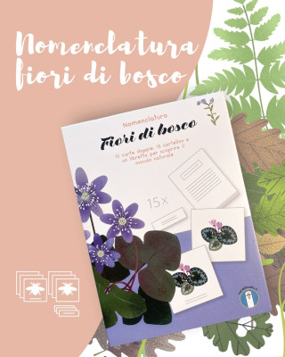 Copertina evento  Scopri i fiori del bosco