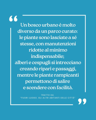 Copertina evento  Tratto dall'albo “Fuori luogo. Gli altri abitanti delle città”