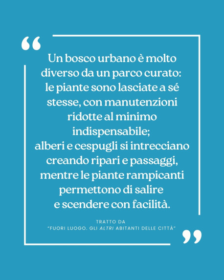 Tratto dall'albo “Fuori luogo. Gli altri abitanti delle città”