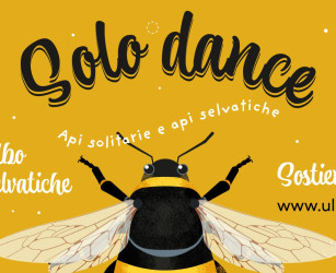 Copertina evento  Aiutaci a realizzare un albo illustrato sulle api selvatiche!