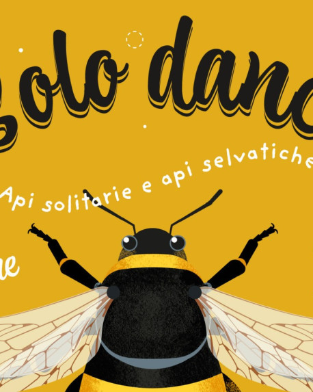 Aiutaci a realizzare un albo illustrato sulle api selvatiche!