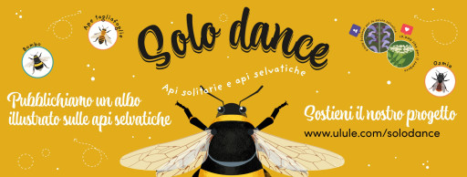 Aiutaci a realizzare un albo illustrato sulle api selvatiche!
