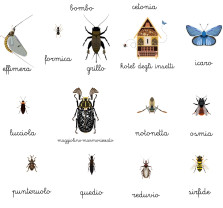 Fotografia di Poster di stoffa medio: insetti