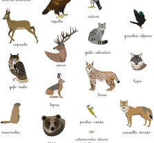 Fotografia di Poster di stoffa medio: animali di montagna