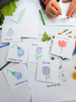 Copertina progetto Corso di Illustrazione Botanica bambini