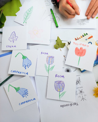 Copertina progetto Corso di Illustrazione Botanica bambini