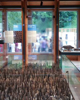 Copertina progetto Muse - Museo delle Palafitte del Lago di Ledro 
