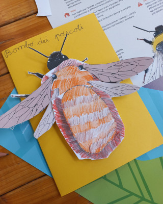 Copertina progetto Workshop Ronzante