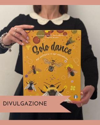 Copertina evento  Alice Bigli e Cocai Design