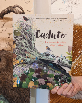 Copertina evento  Pubblicato "Caduto: la seconda vita degli alberi"