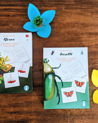 Copertina evento  Nuove nomenclature Bosco e Insetti