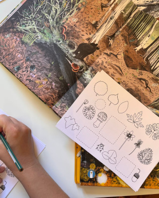 Copertina progetto Cartolina dal bosco di Caduto
