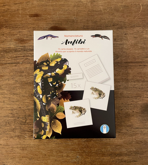Nomenclatura: Anfibi