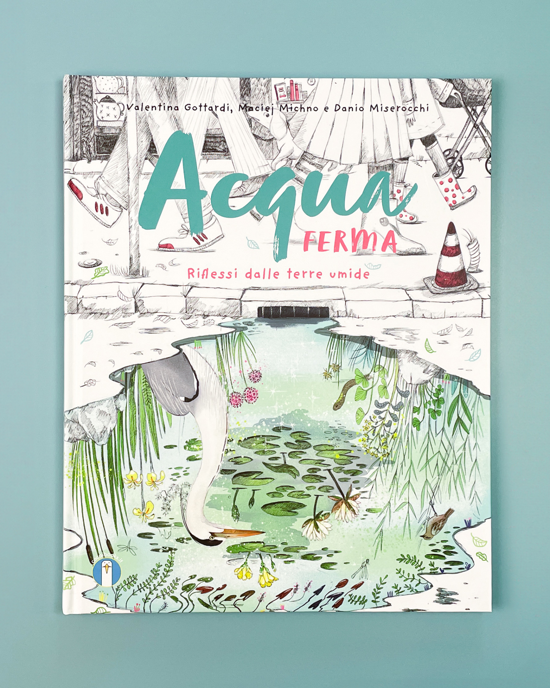 Acqua ferma. Riflessi dalle terre umide.