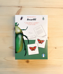 Fotografia di Nomenclatura: Insetti