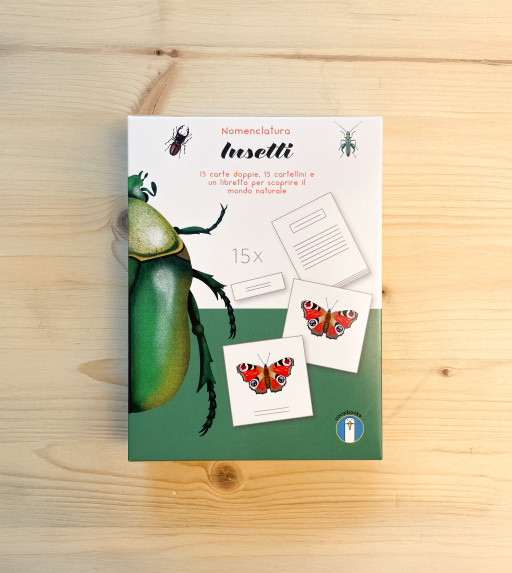 Nomenclatura: Insetti
