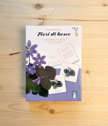 Fotografia di Nomenclatura: Fiori di Bosco