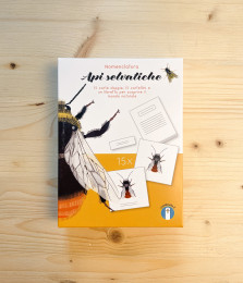 Fotografia di Nomenclatura: Api Selvatiche