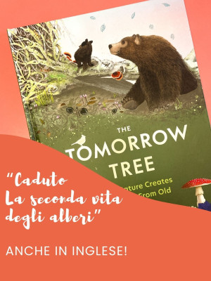Copertina evento  "Caduto. La seconda vita degli alberi" ora anche in inglese grazie a Phaidon