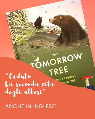 Copertina evento  "Caduto. La seconda vita degli alberi" ora anche in inglese grazie a Phaidon