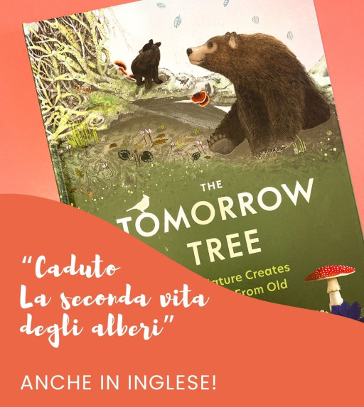 "Caduto. La seconda vita degli alberi" ora anche in inglese grazie a Phaidon