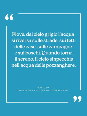 Copertina evento  Citazione da... ACQUA FERMA. Riflessi dalle terre umide.