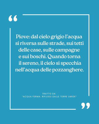 Copertina evento  Citazione da... ACQUA FERMA. Riflessi dalle terre umide.