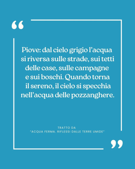 Citazione da... ACQUA FERMA. Riflessi dalle terre umide.