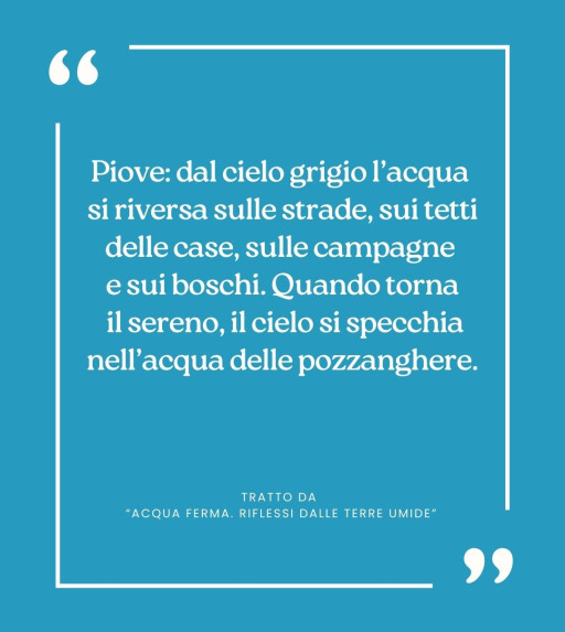 Citazione da... ACQUA FERMA. Riflessi dalle terre umide.