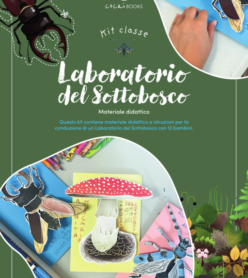 Workshop del Sottobosco: kit scuole