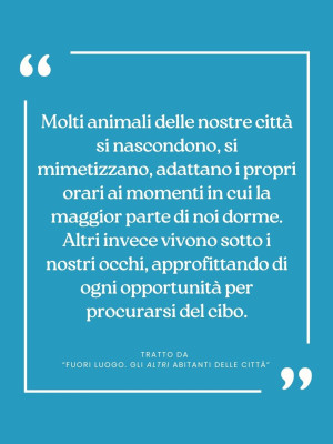 Copertina evento  Citazione da...FUORI LUOGO. Gli altri abitanti delle città
