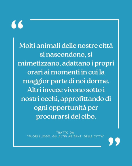 Citazione da...FUORI LUOGO. Gli altri abitanti delle città