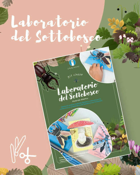 Ecco il nostro nuovo kit! Laboratorio del sottobosco.