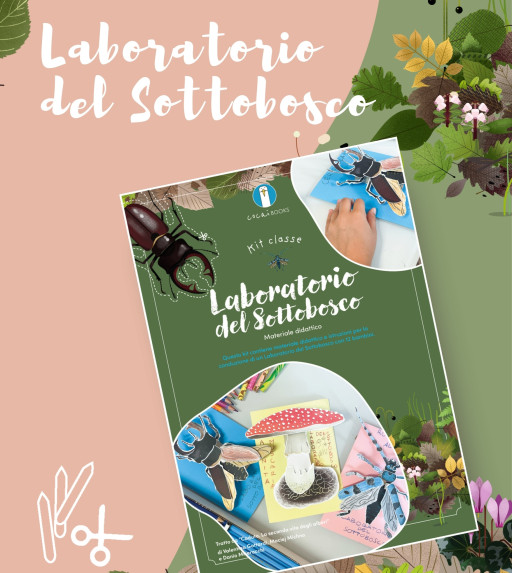 Ecco il nostro nuovo kit! Laboratorio del sottobosco.